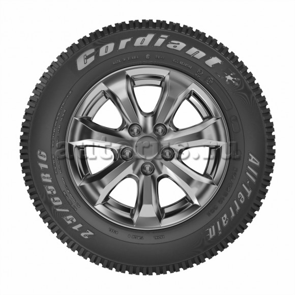 Шина летняя легковая 205/70R15 100H